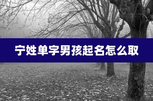宁姓单字男孩起名怎么取