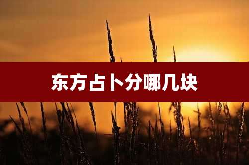 东方占卜分哪几块