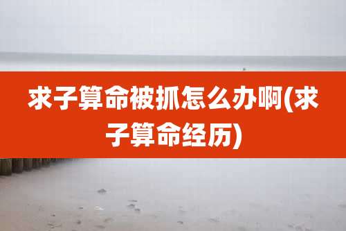 求子算命被抓怎么办啊(求子算命经历)