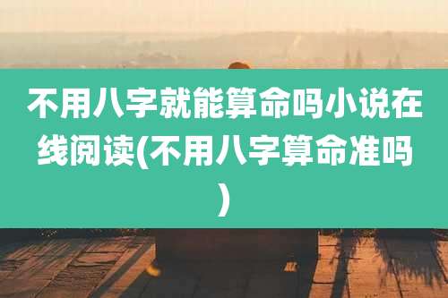不用八字就能算命吗小说在线阅读(不用八字算命准吗)