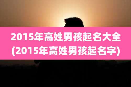 2015年高姓男孩起名大全(2015年高姓男孩起名字)