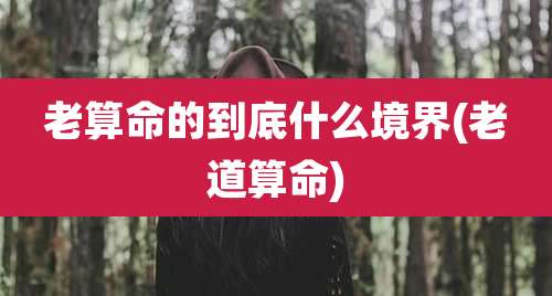 老算命的到底什么境界(老道算命)