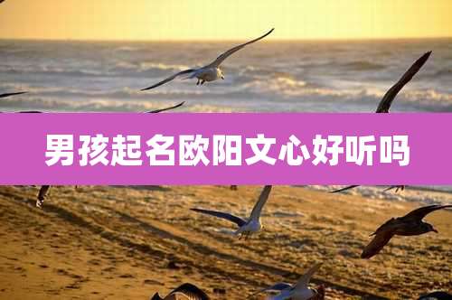 男孩起名欧阳文心好听吗
