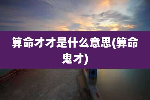 算命才才是什么意思(算命鬼才)