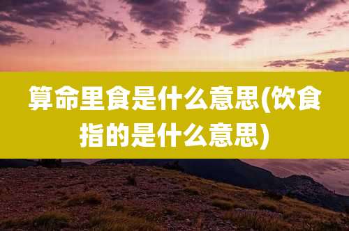 算命里食是什么意思(饮食指的是什么意思)