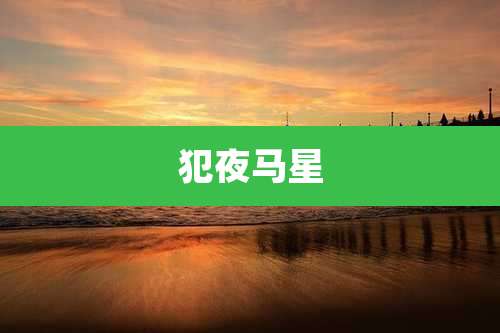 犯夜马星