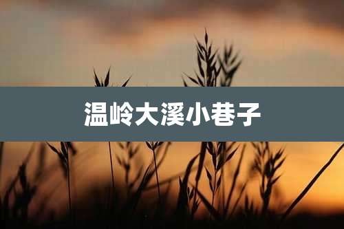 温岭大溪小巷子