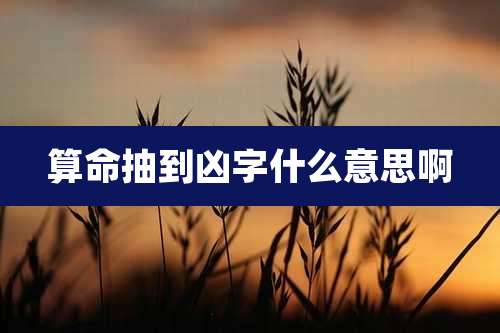 算命抽到凶字什么意思啊