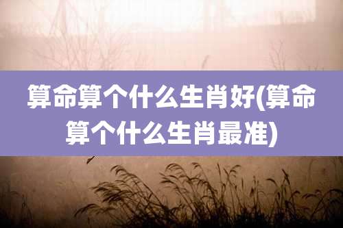 算命算个什么生肖好(算命算个什么生肖最准)