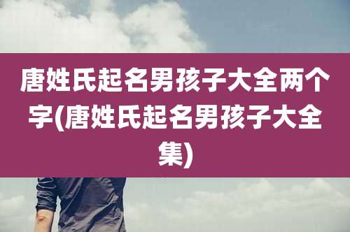唐姓氏起名男孩子大全两个字(唐姓氏起名男孩子大全集)