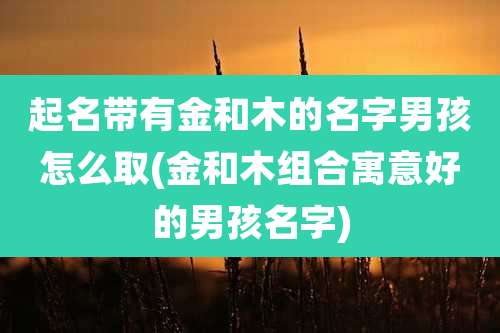 起名带有金和木的名字男孩怎么取(金和木组合寓意好的男孩名字)