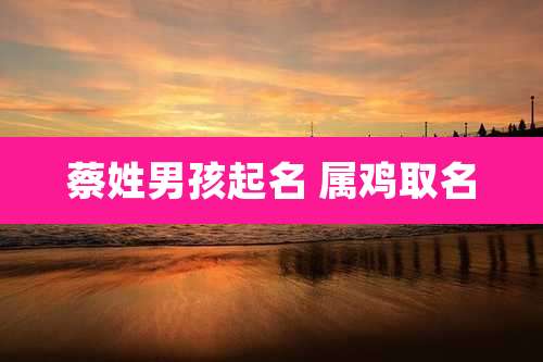 蔡姓男孩起名 属鸡取名