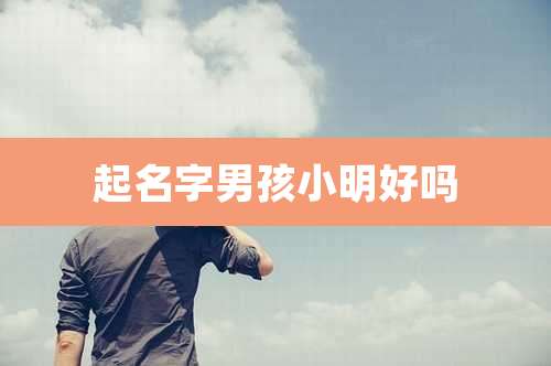 起名字男孩小明好吗