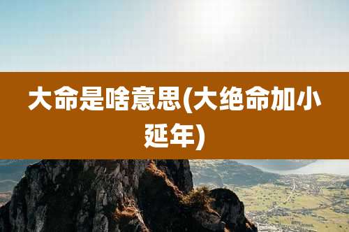 大命是啥意思(大绝命加小延年)
