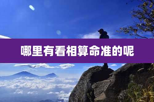 哪里有看相算命准的呢