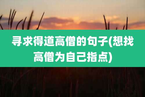 寻求得道高僧的句子(想找高僧为自己指点)