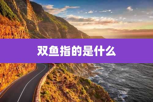 双鱼指的是什么