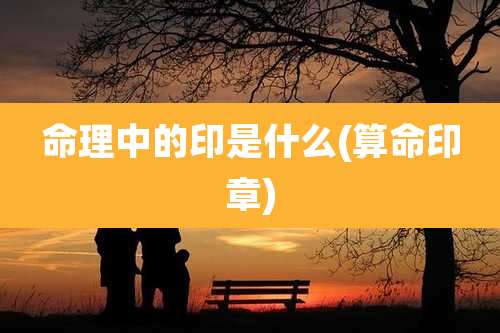 命理中的印是什么(算命印章)