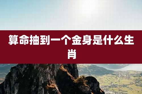 算命抽到一个金身是什么生肖