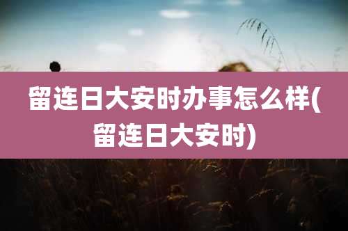 留连日大安时办事怎么样(留连日大安时)