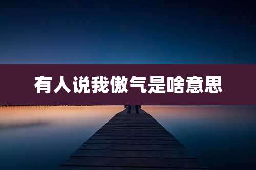 有人说我傲气是啥意思
