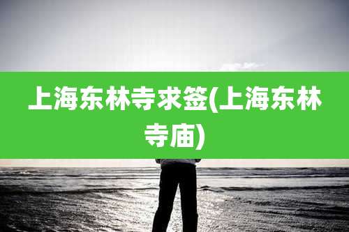 上海东林寺求签(上海东林寺庙)