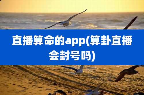 直播算命的app(算卦直播会封号吗)