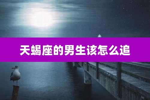 天蝎座的男生该怎么追