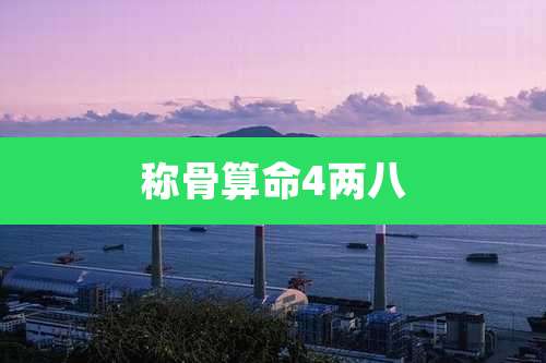 称骨算命4两八