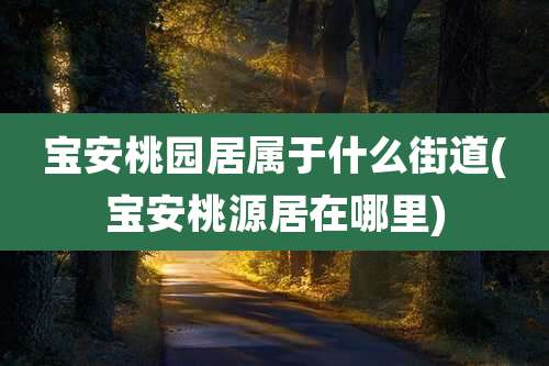 宝安桃园居属于什么街道(宝安桃源居在哪里)