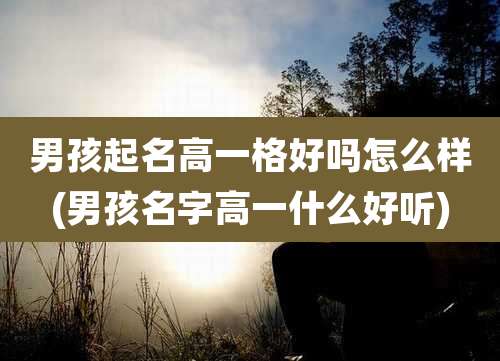 男孩起名高一格好吗怎么样(男孩名字高一什么好听)
