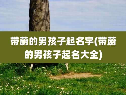 带蔚的男孩子起名字(带蔚的男孩子起名大全)