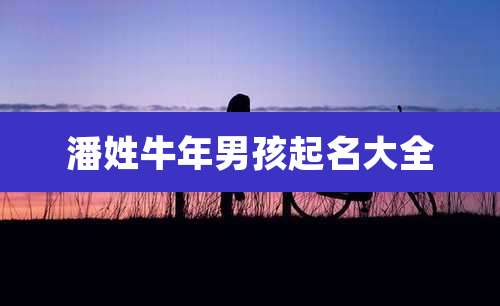 潘姓牛年男孩起名大全