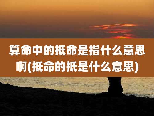 算命中的抵命是指什么意思啊(抵命的抵是什么意思)