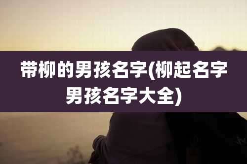 带柳的男孩名字(柳起名字男孩名字大全)