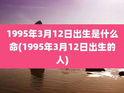 1995年3月12日出生是什么命(1995年3月12日出生的人)