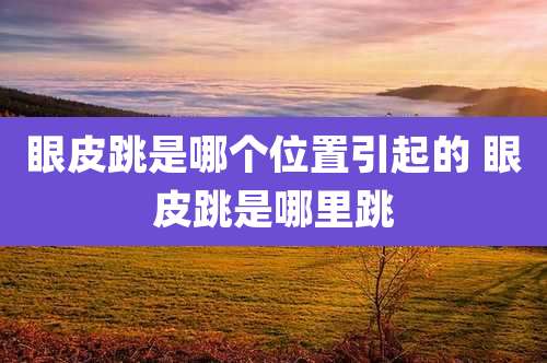 眼皮跳是哪个位置引起的 眼皮跳是哪里跳