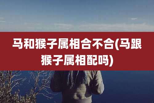 马和猴子属相合不合(马跟猴子属相配吗)
