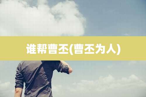 谁帮曹丕(曹丕为人)