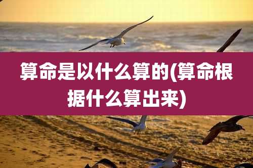 算命是以什么算的(算命根据什么算出来)