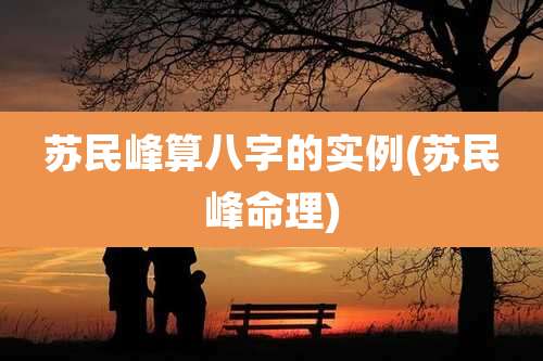 苏民峰算八字的实例(苏民峰命理)