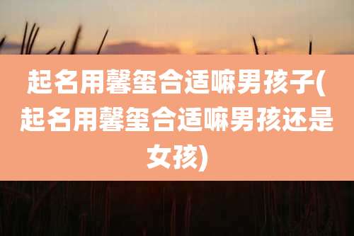 起名用馨玺合适嘛男孩子(起名用馨玺合适嘛男孩还是女孩)