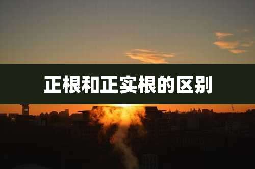正根和正实根的区别