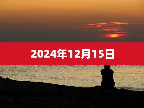 2024年12月15日