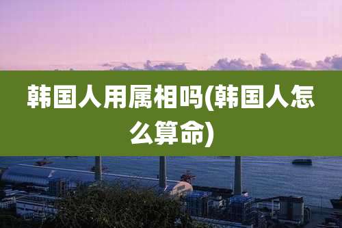 韩国人用属相吗(韩国人怎么算命)