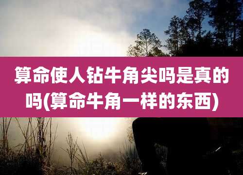 算命使人钻牛角尖吗是真的吗(算命牛角一样的东西)