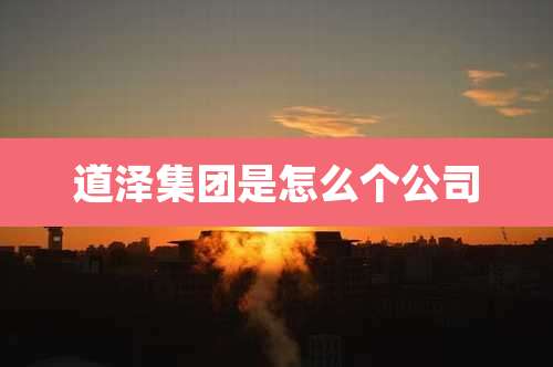 道泽集团是怎么个公司