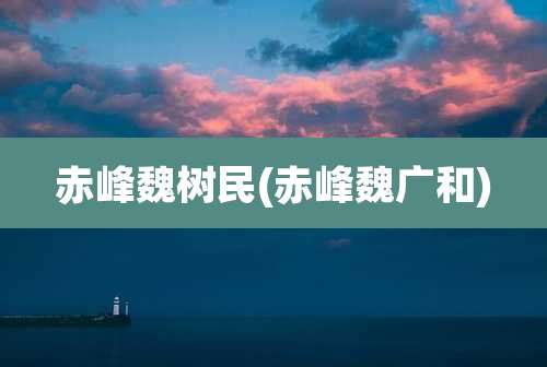 赤峰魏树民(赤峰魏广和)