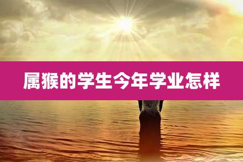 属猴的学生今年学业怎样