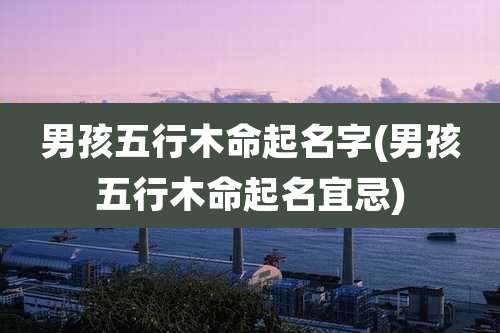 男孩五行木命起名字(男孩五行木命起名宜忌)